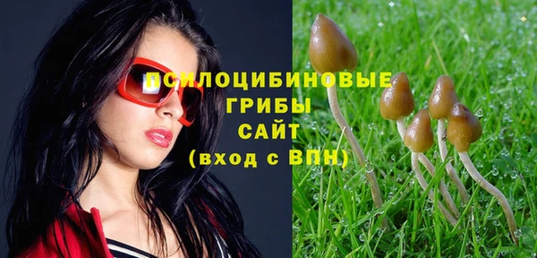 2c-b Алексеевка