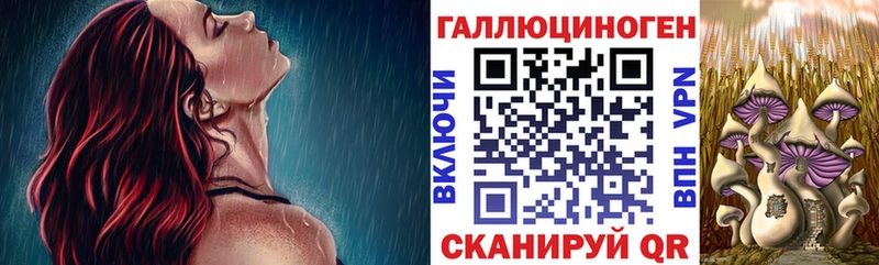 блэк спрут зеркало Славск Псилоцибиновые грибы прущие грибы закладка